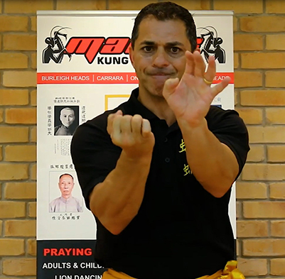 Qigong-Moot-Sou-Ginger-Fist-Compression-Qi-Gong