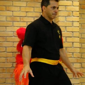 Qigong-Wrist-And-Fingertip-Qi-Gong