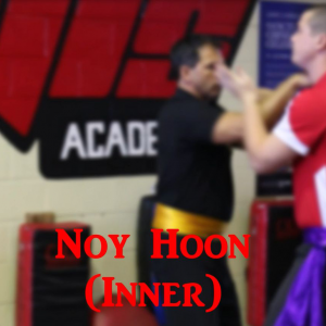 FIGHTING APPLICATION 4. Noy Hoon