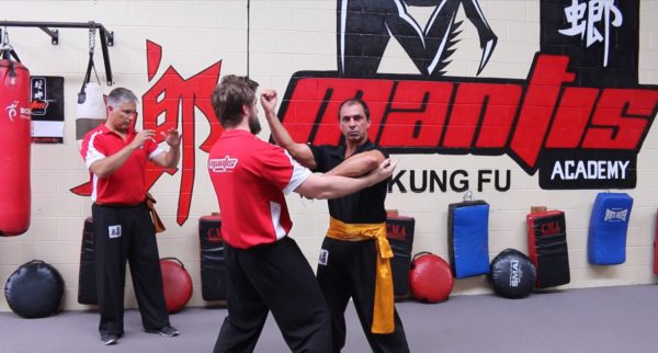 Mantis Kung Fu